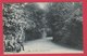 Ath -Vue Dans Le Parc ... Vieillards Sur Un Banc -S.B.P. - 1901 ( Voir Verso ) - Ath