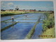 CP 44 Loire Atlantique BOURGNEUF En RETZ - Les Salines à Bourgneuf En Retz 1970 - Bourgneuf-en-Retz