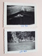 ZOO Van ANTWERPEN / Anvers / Antwerp / Amberes ( Formaat Grootste +/- 9,5 X 7 Cm. ) 5 Foto's > 1952 ! - Lieux