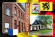 Delcampe - Postcards, REPRODUCTION, Municipalities Of Belgium, Turnhout, Duplex 188 To 243 - Set Of 56 Pcs. - Cartes Géographiques