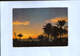 Lebanon - Postcard Circulated And Written In 1971 - Sunset At The Lebanese Coast - 2/scans - Liban
