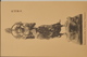 Delcampe - Japan, Serie One National Treasures, 1900-1910’s, 30 Postcards - Autres & Non Classés