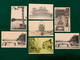 JAPAN - Oshima, Nagoya, Mukden, Itsukushima, Etc - 1900-1910’s - 7 Cards - Autres & Non Classés