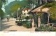 GIBRALTAR RUSTIC ARBOUR ALAMEDA GARDENS J. FERRARY § COMPAGNY PHOTOCHROME 1900 - Gibraltar