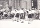 PHOTO--Languedoc Roussillon ?--Danse Catalane ?--groupe Folklorique--voir 2 Scans - Autres & Non Classés