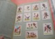 Delcampe - Ice Hockey, Football, Tennis, Bicycling, Ski, Rowing, Athletic; ALBUM  With Glued Vignette Complete Sets Olympic Games - Boeken