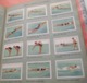 Delcampe - Ice Hockey, Football, Tennis, Bicycling, Ski, Rowing, Athletic; ALBUM  With Glued Vignette Complete Sets Olympic Games - Livres