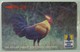 SRI LANKA - GPT - 21SRLD  - Rs 100 - Cylon Jungle Fowl - Mint Blister - Sri Lanka (Ceylon)