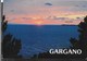 PUGLIA - TRAMONTO SUL GARGANO - VIAGGIATA 1990 - Altri & Non Classificati