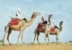 SAHARA ESPAGNOL   :  Méharistes . Carte Editions Porcelaines Le Tallec .  Oblitération Villa Cisneros - Sahara Occidental