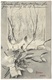 Bonne Année - Postmark 1904 - A S W - Snowy Wood & Mistletoe New Year - Du Gui - New Year