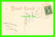 FLEURS - FLOWERS - BEST WISHES - EMBOSSED - TRAVEL IN 1907 - - Fleurs