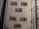 Delcampe - *AFFAIRE * ST PIERRE MIQUELON POLYNESIE FRANCAISE  BELLE PRESENTATION NEUFS TIMBRES  BLOCS ETAT PARFAIT   FORT FACIAL - Collections (en Albums)