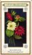 Delcampe - 60 Chromo Lithos Zie Fotos, 4711 , Gedrukt  Cirka 1916 Verzameling, NEderland - Parfum Boldoot - 6,2 Cm X 11 Cm - Anciennes (jusque 1960)
