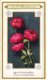 Delcampe - 60 Chromo Lithos Zie Fotos, 4711 , Gedrukt  Cirka 1916 Verzameling, NEderland - Parfum Boldoot - 6,2 Cm X 11 Cm - Vintage (until 1960)