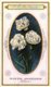 Delcampe - 60 Chromo Lithos Zie Fotos, 4711 , Gedrukt  Cirka 1916 Verzameling, NEderland - Parfum Boldoot - 6,2 Cm X 11 Cm - Vintage (until 1960)
