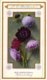Delcampe - 60 Chromo Lithos Zie Fotos, 4711 , Gedrukt  Cirka 1916 Verzameling, NEderland - Parfum Boldoot - 6,2 Cm X 11 Cm - Antiguas (hasta 1960)