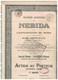 Titre Ancien - Société Anonyme De NEBIDA Pour L' Exploitation De Mines - Titre De 1929 - - Mines