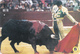 Espanha- 10  Calendários  -coleção Completa 1 A 10 Detalhe De Corrida-1997 - Tamaño Pequeño : 2001-...