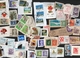 KILOWARE / VRAC, HONG KONG NZ, NEDERLND Und UK Und CANADA Und PNG Und USA Et Autres - Vrac (max 999 Timbres)