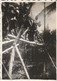 Vietnam : THAN-TRIEU : Soldats Traversant Un Pont : 1947 : ( 6cm X 4,3cm ) Photo Militaire - - War, Military