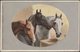 Horses - Three Stablemates, C.1905-10 - CW Faulkner Postcard - Horses