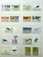 Delcampe - Birds,vogels,oiseaux,vögel,pájaros,uccelli Collection In 2 Stockbooks(mostly MNH/Postfris/Neuf) - Verzamelingen (in Albums)