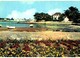 Delcampe - LOT N°1194 - LOT DE + 15 CARTES DE BRIGNOGAN-PLAGE - Brignogan-Plage