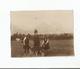 SEYSSINS (ISERE) PHOTO AVEC MERE SES DEUX FILLES ET CHIENS . PAYSAN AVEC CHEVAL EN SECOND PLAN ET MASSIF DU VERCORS 1912 - Lieux