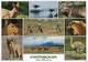 Lote PEP1265, Chile, Postal, Postcard, Fauna De Chile, Patagonia, Penguin, Wildlife, Bird - Chile