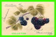 FLOWERS - FLEURS - BRANCHE DE MURS - LES FLEURS PASSENT VOTRE SOUVENIR RESTE - CIRCULÉE EN 1906 - EMBOSSÉE - - Autres & Non Classés