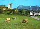 FINSTERWALD Ob Entlebuch Mit Riseten Kühe - Entlebuch