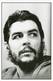 Lote PEP1273, Cuba, Entero Postal, Postcard, Stationery, 2013, Ediciones Aurelia, 4/36, Che Guevara, Foto Salas - Cartes-maximum