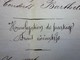 1882-Document Manuscrit Homologation Partage Frais Exécutifs Léon Julien Avoué Ru Paradis/Barthélemy St Julien Marseille - Manuscrits