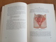 Delcampe - Norway Medical Book - Skandinavische Sprachen