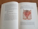 Delcampe - Norway Medical Book - Lingue Scandinave