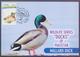 PAKISTAN - MAXIMUM CARD 1992, Birds Protect Wildlife "DUCKS", Complete Set Of 4 Cards - Patos