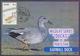 PAKISTAN - MAXIMUM CARD 1992, Birds Protect Wildlife "DUCKS", Complete Set Of 4 Cards - Canards