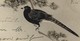 CARTE Avec TIMBRES Et CACHET DE LA POSTE YOKOHAMA ( Asie )  1902 Sur Carte Peinte A La Main ( Hand Mailerei ) LONDRES - Lettres & Documents