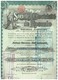 Action Ancienne Société D'Electricité De ROSARIO Action De Capital - Titre De 1910 Rare - Electricité & Gaz