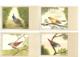 Delcampe - OISEAUX DESSINES MAGNIFIQUE LOT DE 34 CPA TOUTES SCANNEES A SAISIR - 5 - 99 Karten