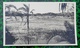 Delcampe - Lot De 17 Photos Victoria Falls Rhodesie Afrique Du Sud Zambèse 1949 - Sud Africa