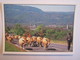 Agriculture La Transhumance Vache - Elevage