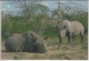 Rhinos  Kenya  HIPPO  RHINOZEROS   Nice Stamp - Rhinoceros