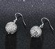 Delcampe - A90108 - Orecchini  Da Donna  925 Argento Sterling - Boucles D'oreilles