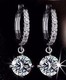 Delcampe - A60122 - Orecchini  Da Donna  925 Argento Sterling - Earrings