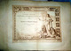 EXPOSITION COLONIALE UNIVERSELLE LYON 1894 DIPLOME MEDAILLE ARGENT LITHO SIGNEE L BARDEY 78 X 55 Cm - Historical Documents