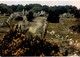 LOT N°1205 - LOT DE + 100 CARTES DE CARNAC - LES MENHIRS ET LES DOLMENS - BRETAGNE MEGALITHIQUE - Carnac