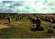 Delcampe - LOT N°1205 - LOT DE + 100 CARTES DE CARNAC - LES MENHIRS ET LES DOLMENS - BRETAGNE MEGALITHIQUE - Carnac