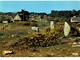 Delcampe - LOT N°1205 - LOT DE + 100 CARTES DE CARNAC - LES MENHIRS ET LES DOLMENS - BRETAGNE MEGALITHIQUE - Carnac